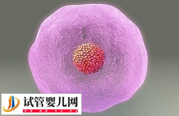 试管胚胎aa是质量等级最高最好的吗？(图1)