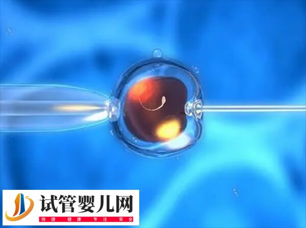 第四代试管婴儿被禁止,除了安全性最主要的原因竟然是…(图1) 第四代试管婴儿被禁止,除了安全性最主要的原因竟然是…(图1)