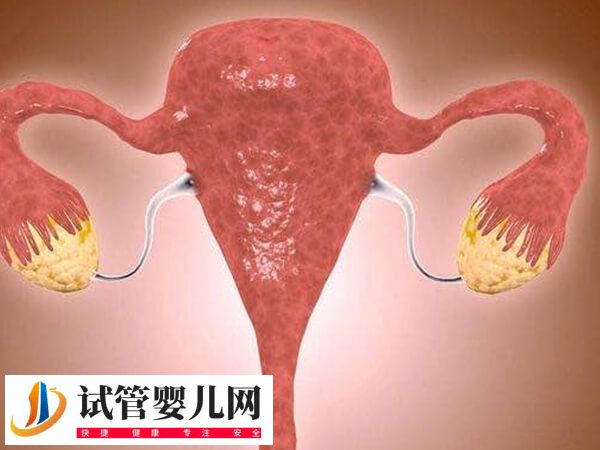 子宫内膜异位症移植鲜胚成功率多少(图1)
