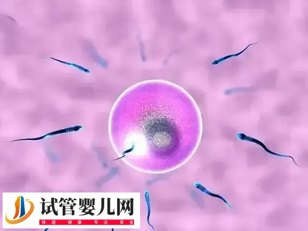 人工周期停药多久来月经正常(图1) 人工周期停药多久来月经正常(图1)