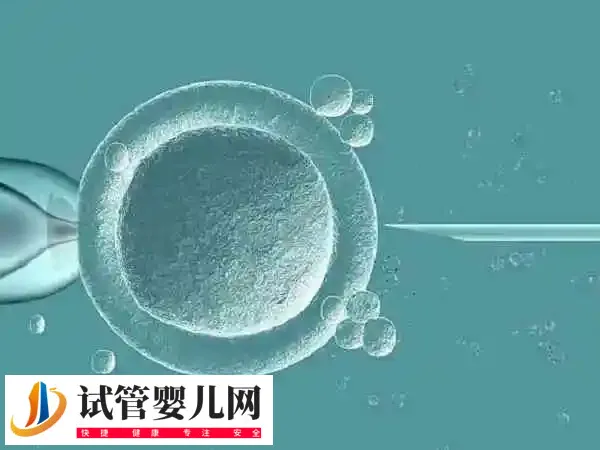 人工周期移植冻胚雌二醇多少正常(图1) 人工周期移植冻胚雌二醇多少正常(图1)