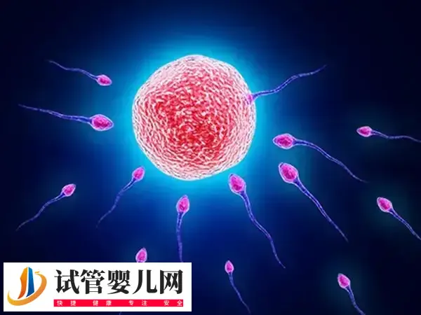 试管婴儿打促排针三天有什么症状(图1)