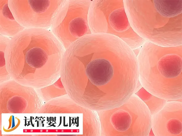 囊胚移植16天没感觉正不正常(图1)