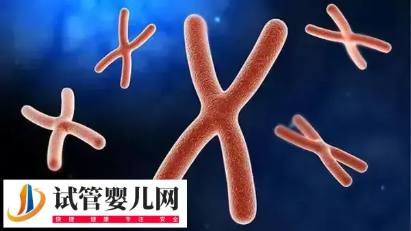 三代试管能筛查哪些遗传病(图2) 三代试管能筛查哪些遗传病(图2)