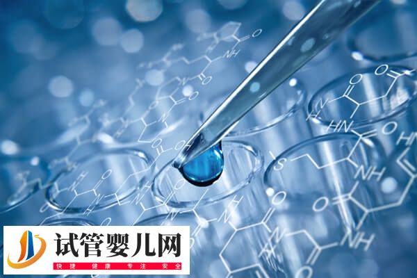 融合胚胎是不是连体婴儿(图1)