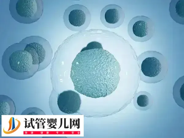 取卵术冲洗卵泡的次数要求是多少(图1) 取卵术冲洗卵泡的次数要求是多少(图1)