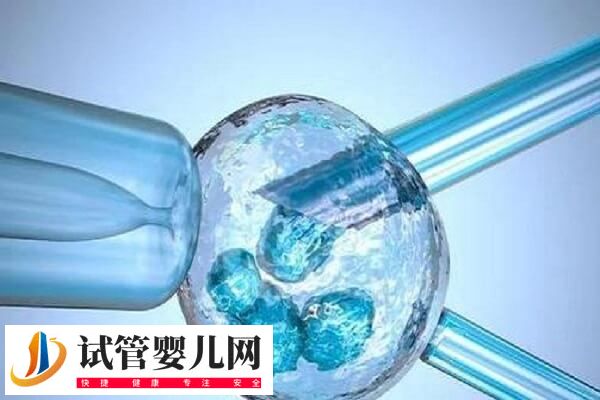 60岁做试管婴儿有什么条件(图1) 60岁做试管婴儿有什么条件(图1)