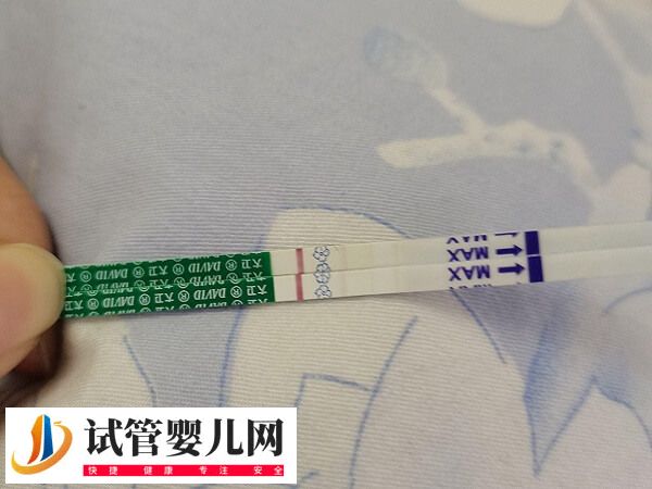 鲜胚移植第八天测出白板有没有希望(图1) 鲜胚移植第八天测出白板有没有希望(图1)