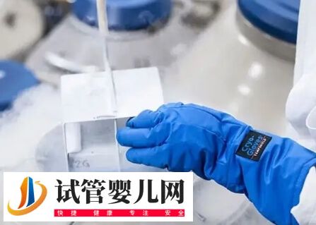 试管婴儿移植一个冻胚成功的经验有哪些(图1) 试管婴儿移植一个冻胚成功的经验有哪些(图1)