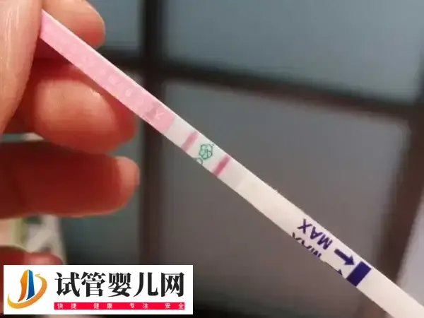 囊胚7天测到9天不加深是什么情况(图2) 囊胚7天测到9天不加深是什么情况(图2)