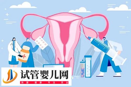 子宫内膜异位症做试管婴儿成功率高不高(图1) 子宫内膜异位症做试管婴儿成功率高不高(图1)