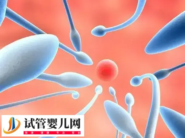 取卵前男方注意事项有哪些(图1) 取卵前男方注意事项有哪些(图1)