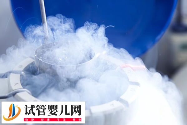 胚胎冷冻了六年还能不能用(图1) 胚胎冷冻了六年还能不能用(图1)