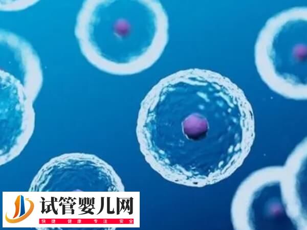 石女卵巢正常能不能取卵(图1)