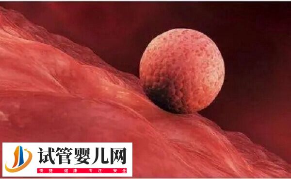 促排期间吃女版勃锐精有什么好处(图1)