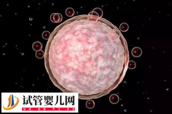 促排期间吃女版勃锐精有什么好处(图3)