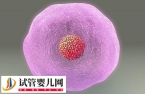 试管胚胎aa是质量等级最高最好的吗？