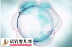 冷冻卵子的风险除了卵巢过度刺激和卵巢感染