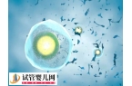 试管移植宫外孕有没有感觉